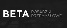 Strona www Posadzki betonowe przemysłowe Podkarpackie BETA SYSTEM