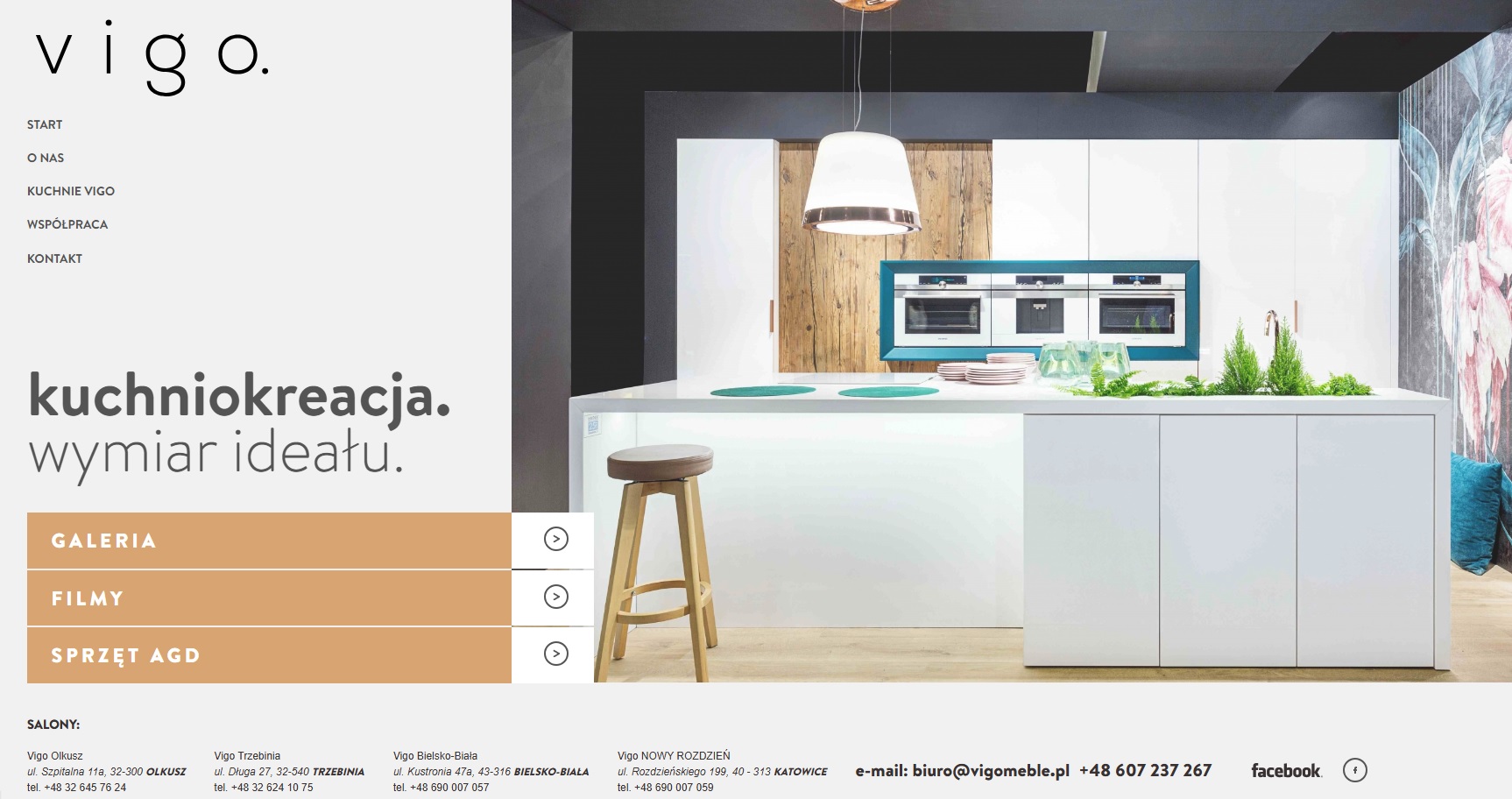 Strona www Meble VIVO