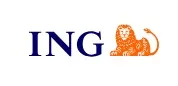 Strona www Nowoczesne Finanse ING